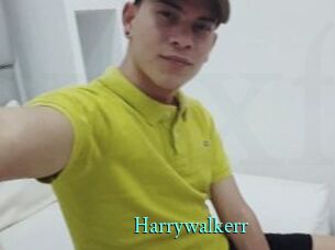 Harrywalkerr xxx Fantasy Land