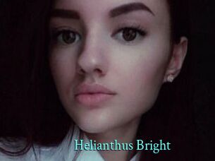 Helianthus_Bright