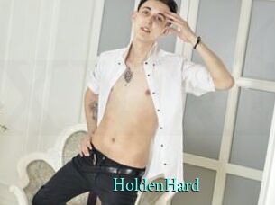HoldenHard xxx Fantasy Land