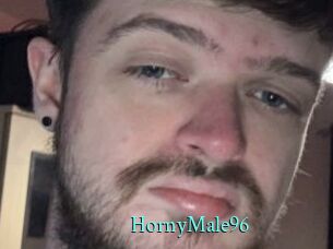 HornyMale96