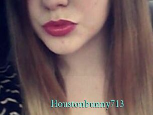 Houstonbunny713