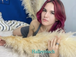 Haileyroach