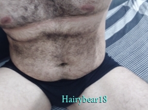 Hairybear18
