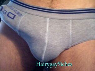 Hairygay9iches