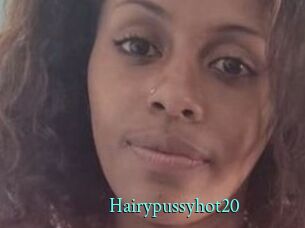 Hairypussyhot20