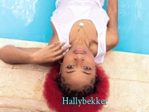 Hallybekker