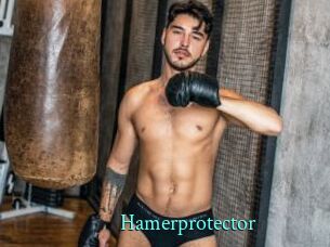 Hamerprotector