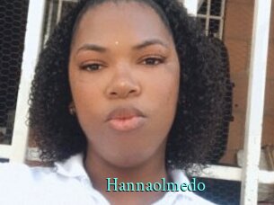 Hannaolmedo