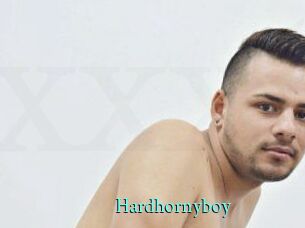 Hardhornyboy