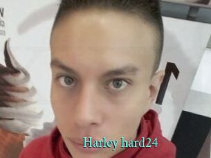 Harley_hard24