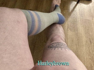 Harleybrown