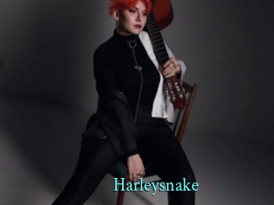 Harleysnake