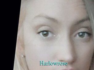 Harlowrose