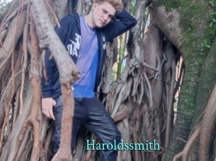 haroldssmith xxx Fantasy Land