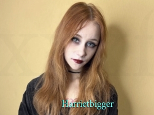 Harrietbigger