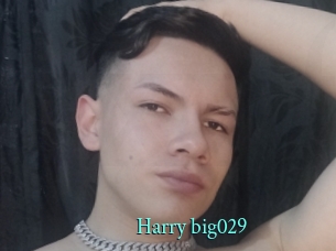 Harry_big029