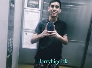Harrybigdick