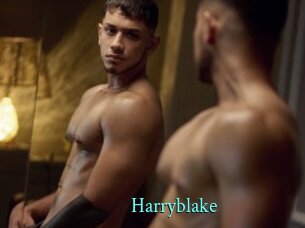 Harryblake