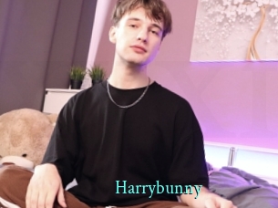 Harrybunny