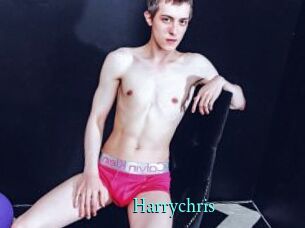 harrychris xxx Fantasy Land