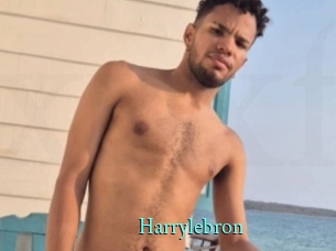 Harrylebron