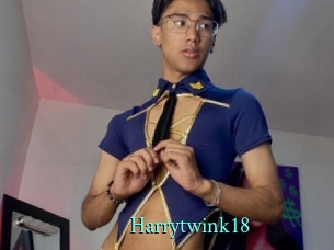 harrytwink18 xxx Fantasy Land