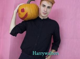 Harrywalters