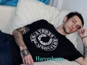 Harveyhayes