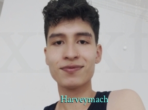 harveymach xxx Fantasy Land