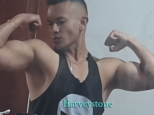 Harveystone