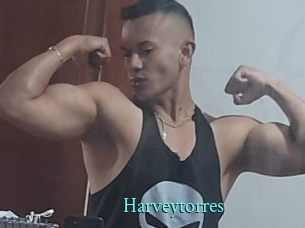 Harveytorres