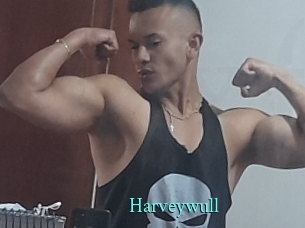 Harveywull