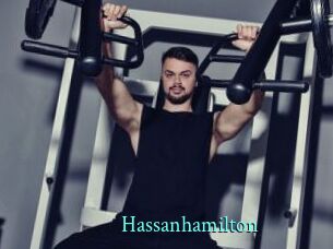 hassanhamilton xxx Fantasy Land