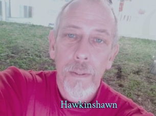 hawkinshawn xxx Fantasy Land