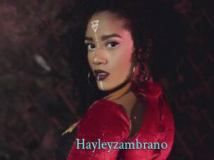 Hayleyzambrano