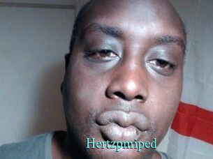 Hertzpmiped