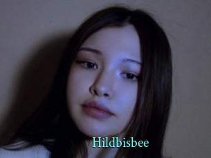 Hildbisbee