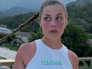 Hildfleek