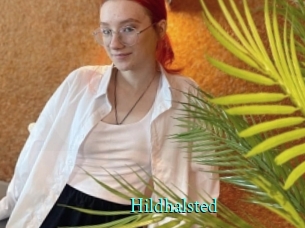hildhalsted xxx Fantasy Land