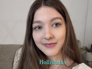 Hollisbarks