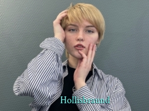 Hollisbraund