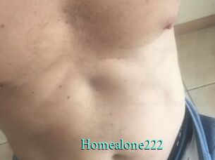 Homealone222