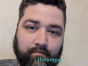 Horneyguy
