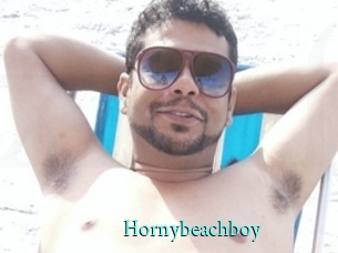 Hornybeachboy