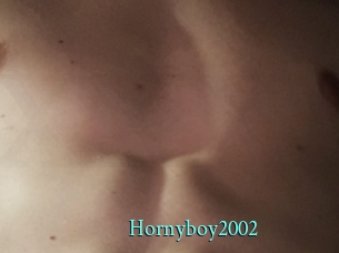 Hornyboy2002