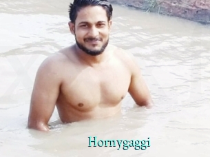 Hornygaggi