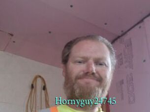 Hornyguy24745