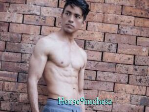 Horse9inchesz
