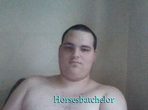 Horsesbatchelor