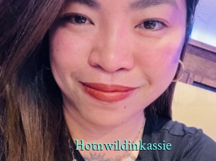 Hotnwildinkassie